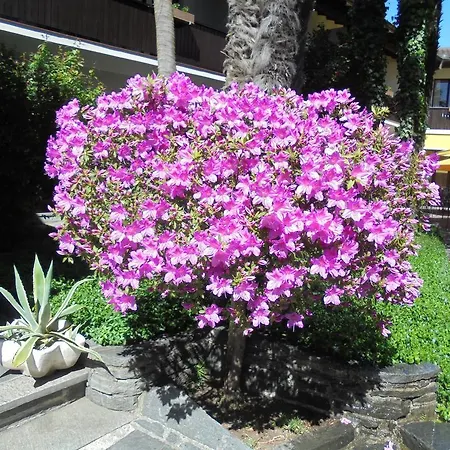 Otel Garni Florida