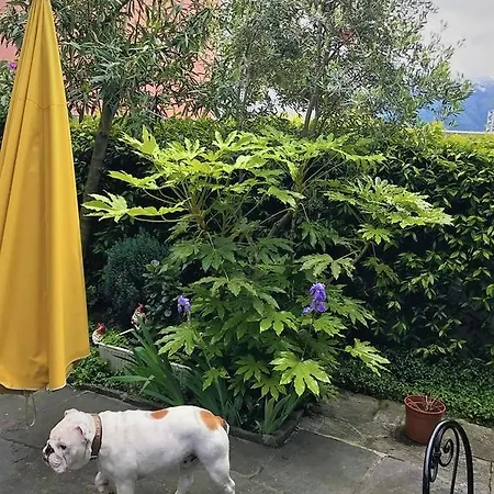 Garni Florida 2* Ascona