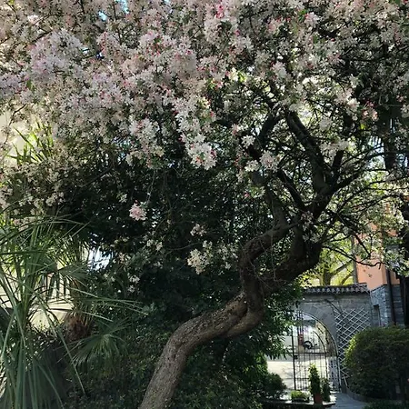 Garni Florida Hotel 2*