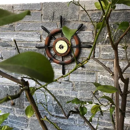 Garni Florida 2* Ascona