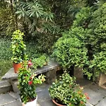 Garni Florida Hotel Ascona