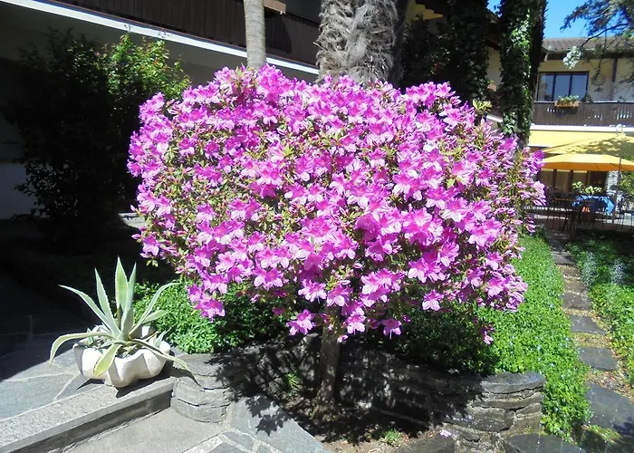 Hotell Garni Florida