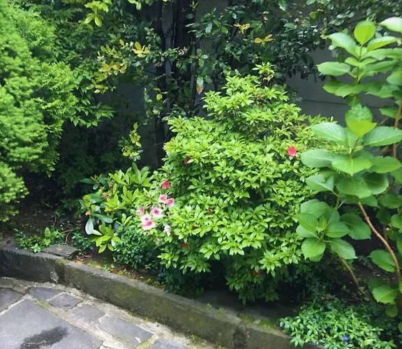 Garni Florida Hotell 2*