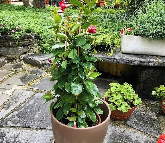 Hotell Garni Florida