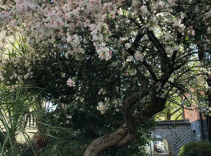 Garni Florida Hotell 2*